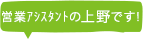 営業アシスタントの上野です!